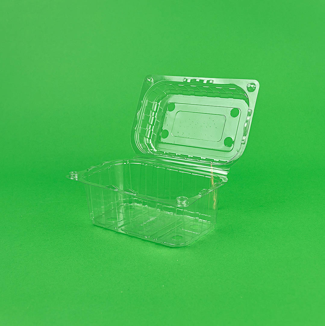 Caserola-fructe-cu-capac-100set-500gr